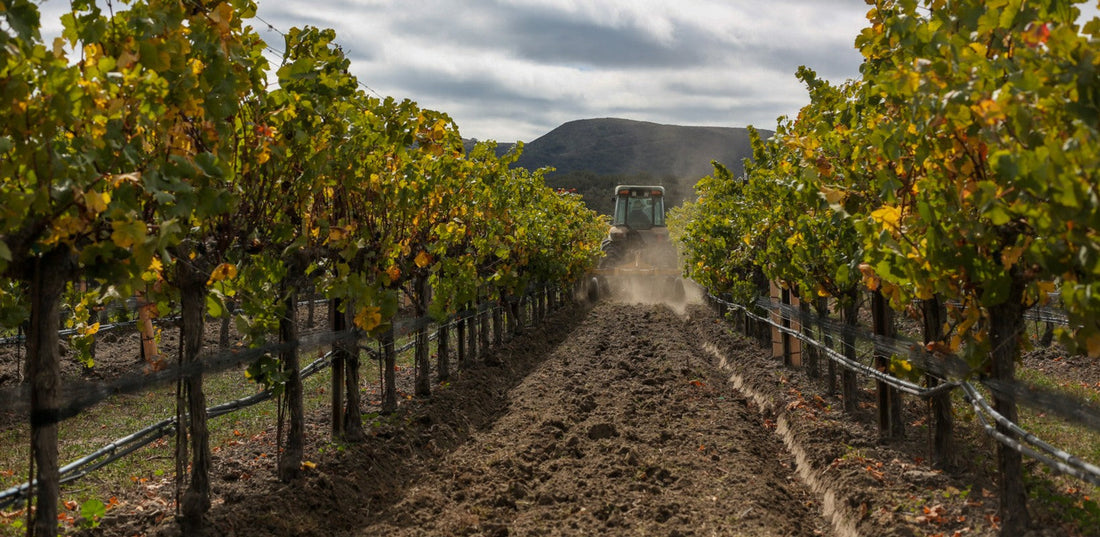 Liquid Farm | California