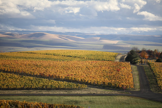 Sleight of Hand Cellars | Washington