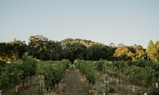 Hoopes Estate | California