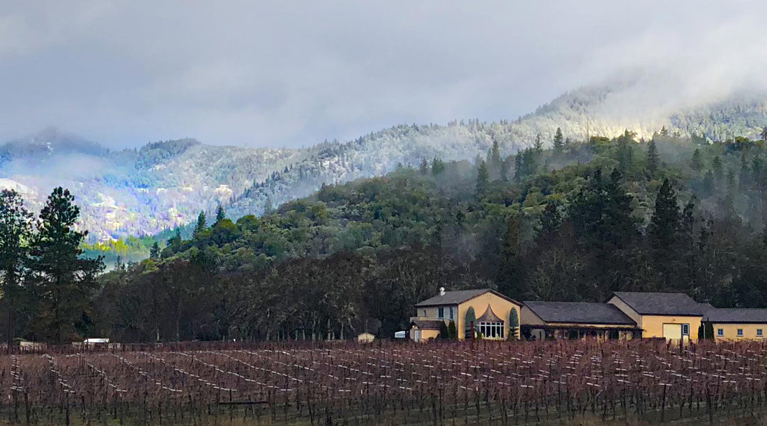 Troon Vineyard | Oregon