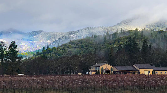 Troon Vineyard | Oregon